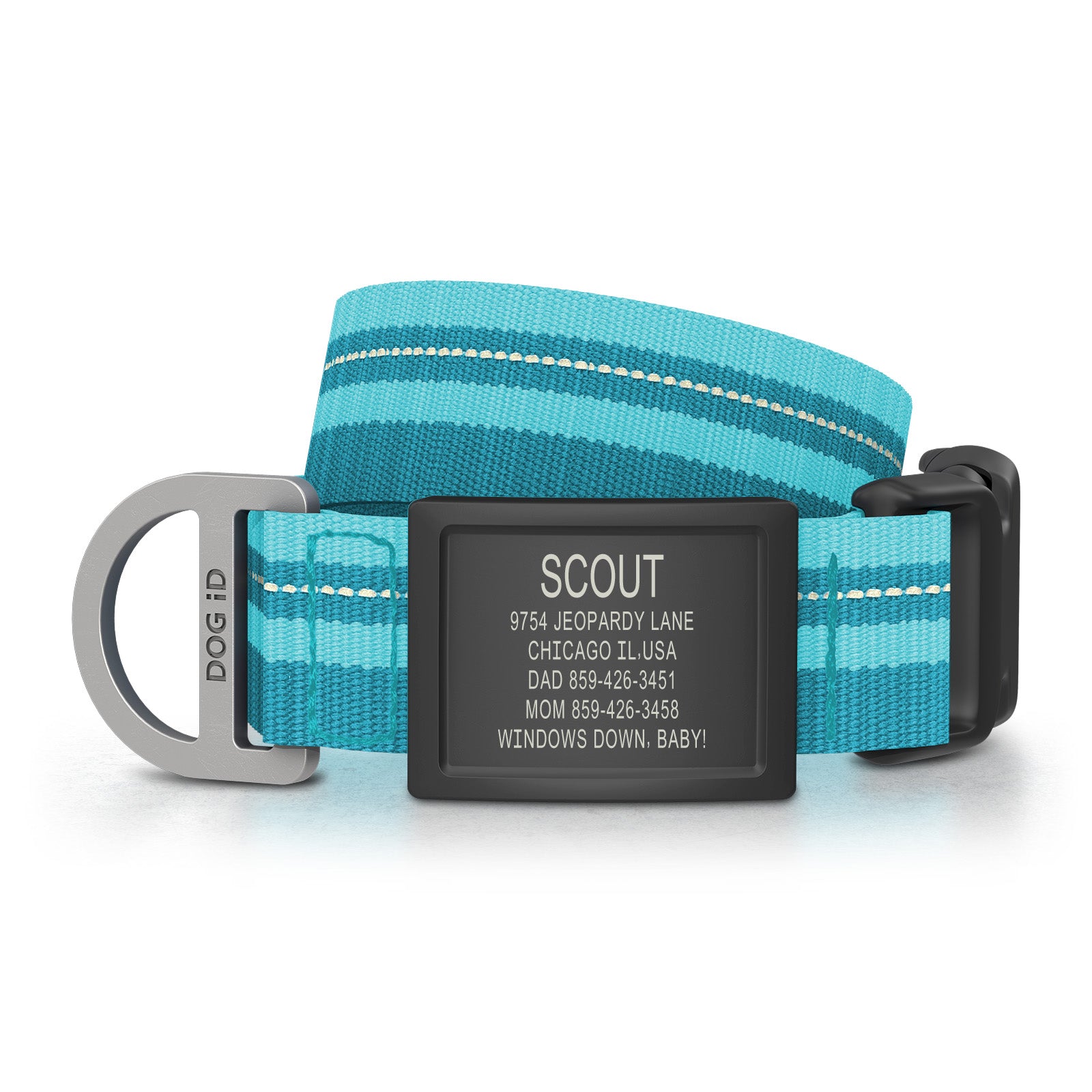 Dog ID Collar 2 ID Med/Large Graphite Teal