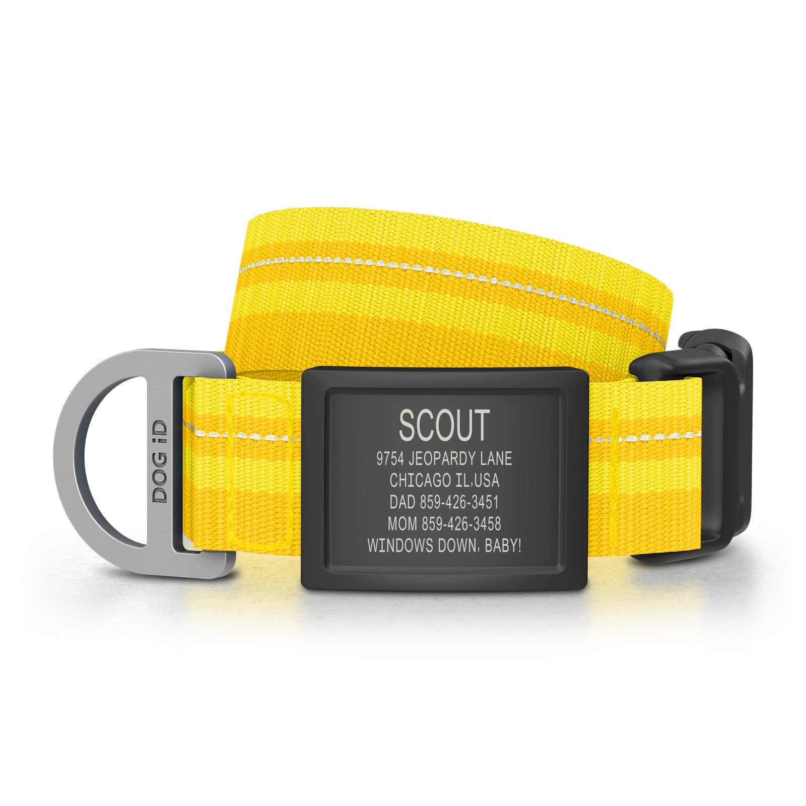 Dog ID Collar 2 ID Med/Large Graphite Yellow