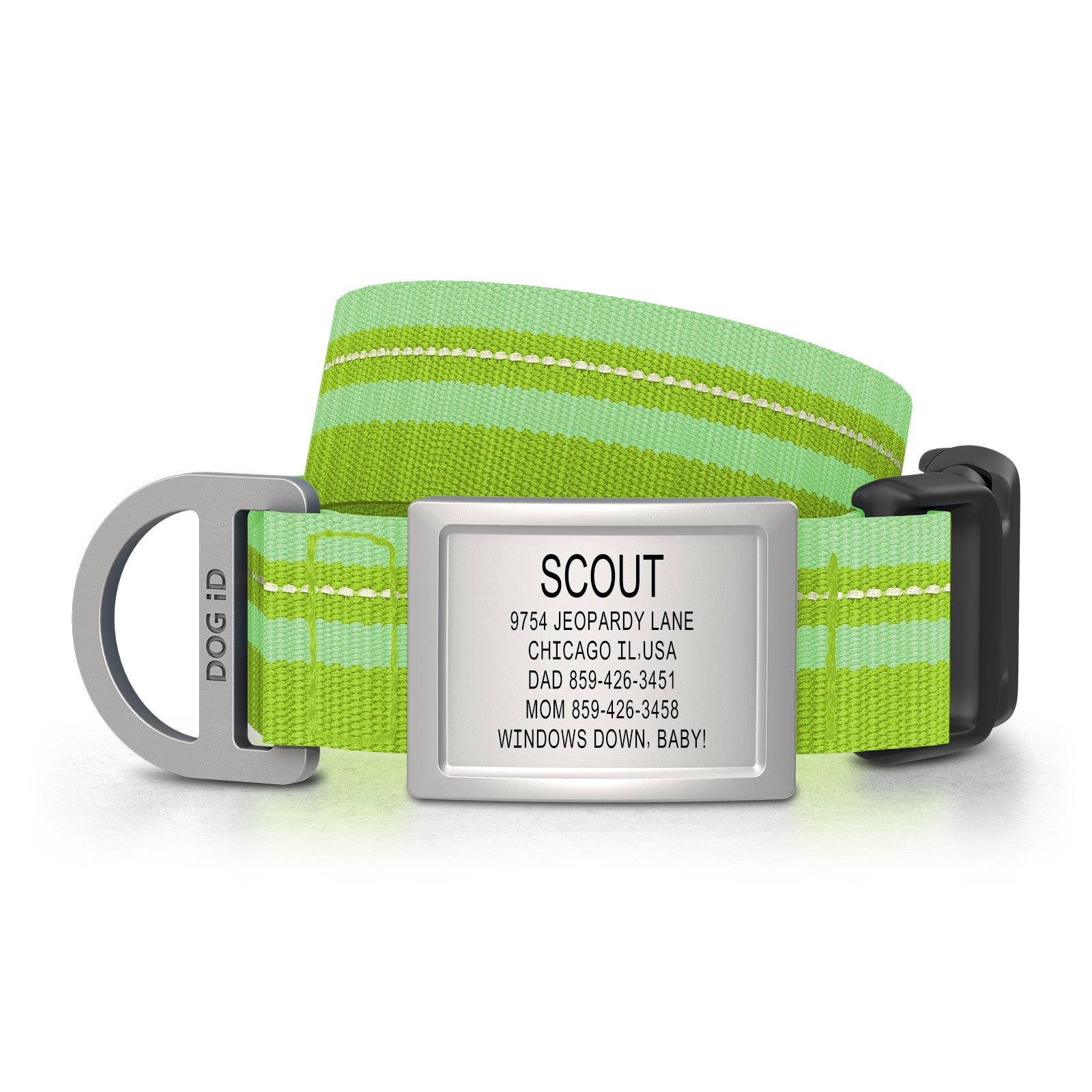 Dog ID Collar 2 ID Med/Large Slate Hi-Viz Green