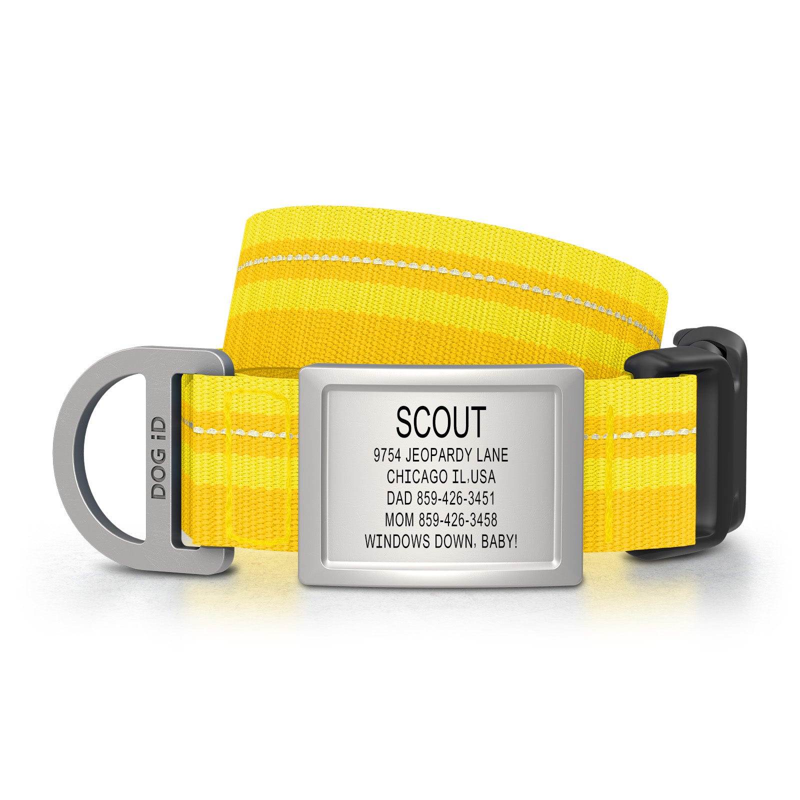 Dog ID Collar 2 ID Med/Large Slate Yellow