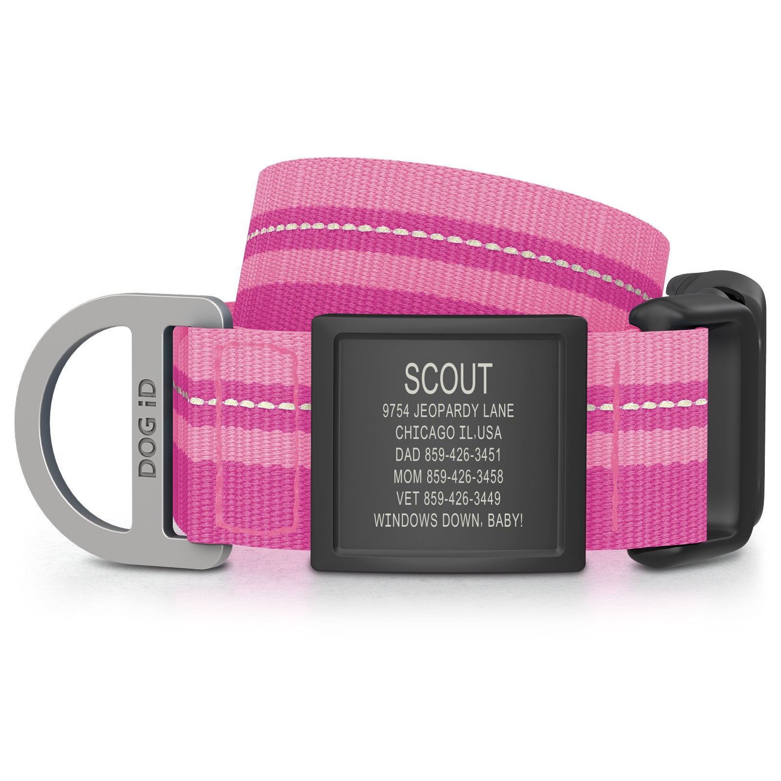 Dog ID Collar 2 ID X-Large Graphite Pink