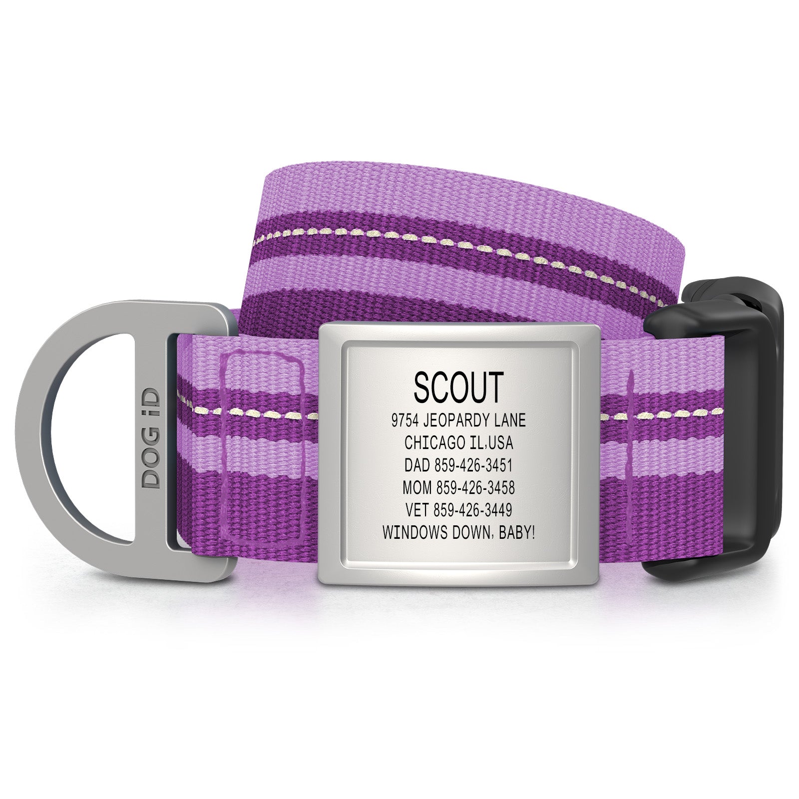 Dog ID Collar 2 ID X-Large Slate Violet