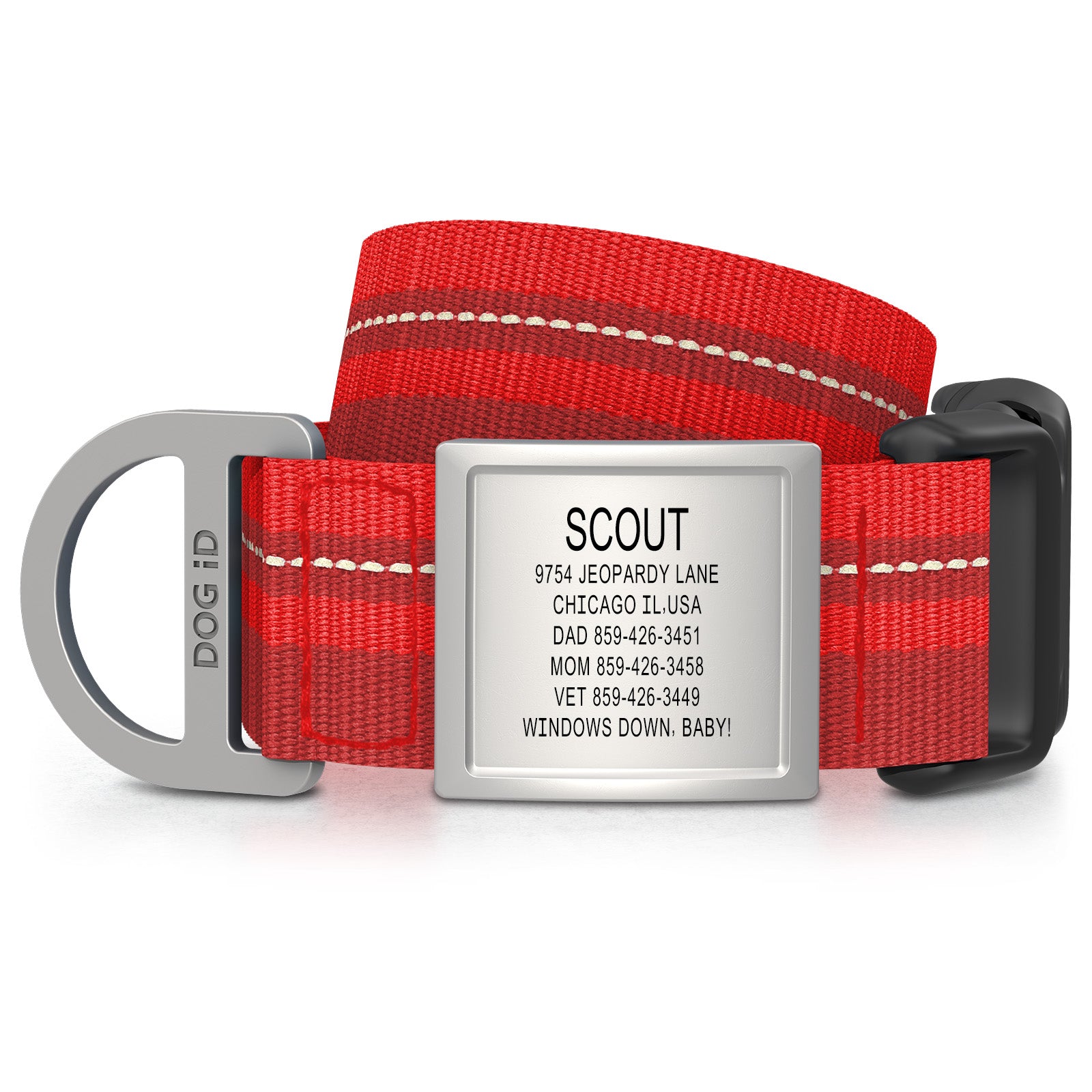 Dog ID Collar 2 ID X-Large Slate Red