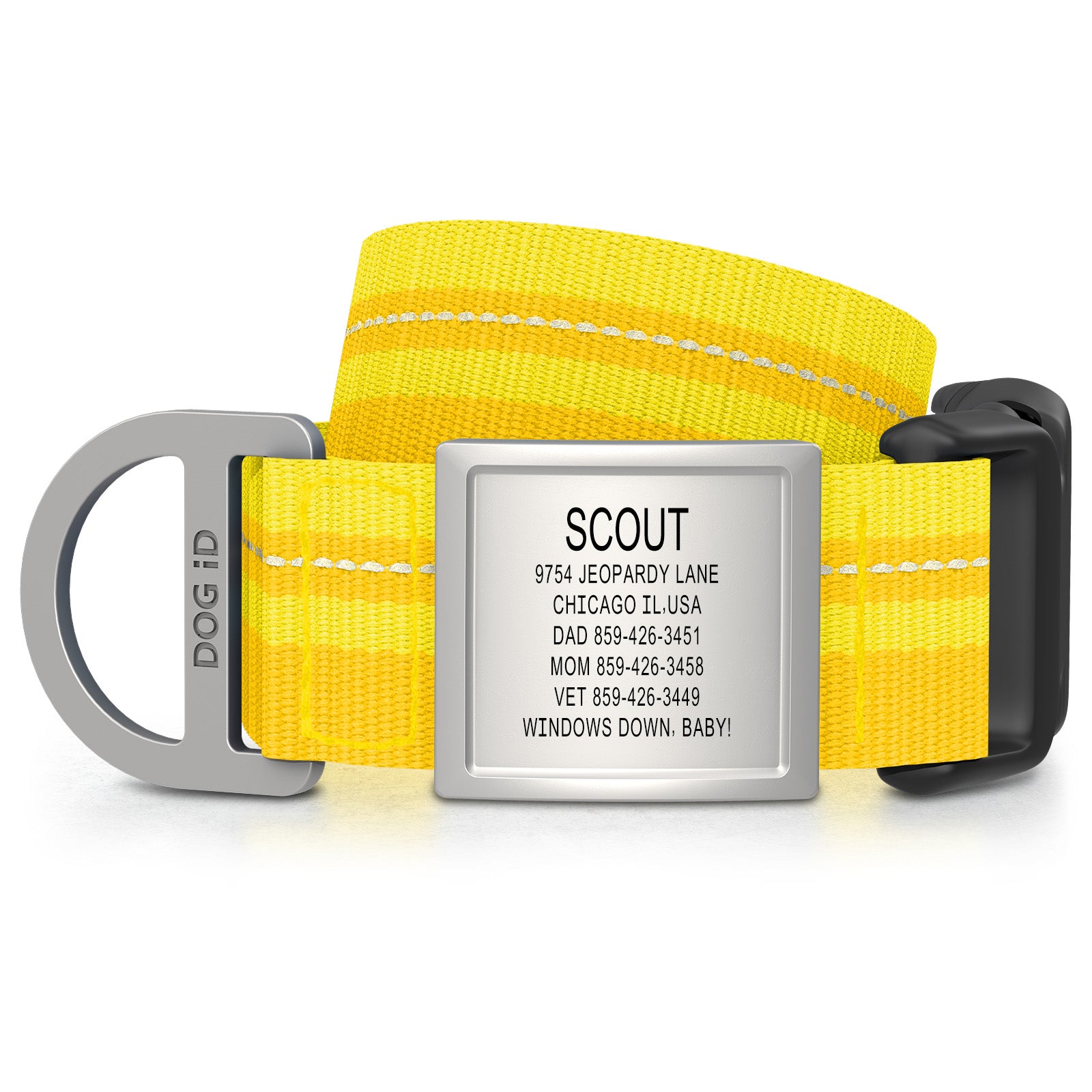 Dog ID Collar 2 ID X-Large Slate Yellow