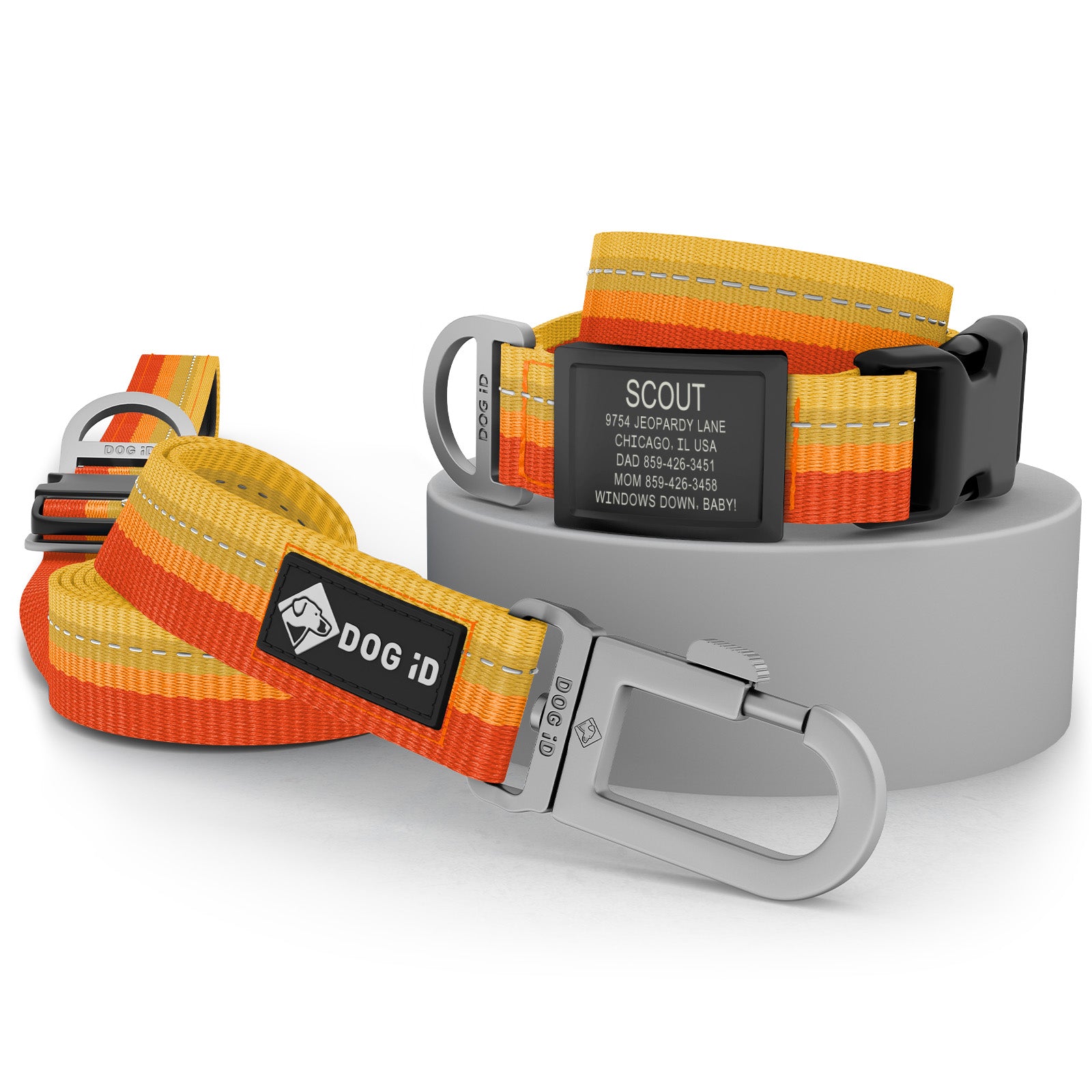 Collar + ID + Leash