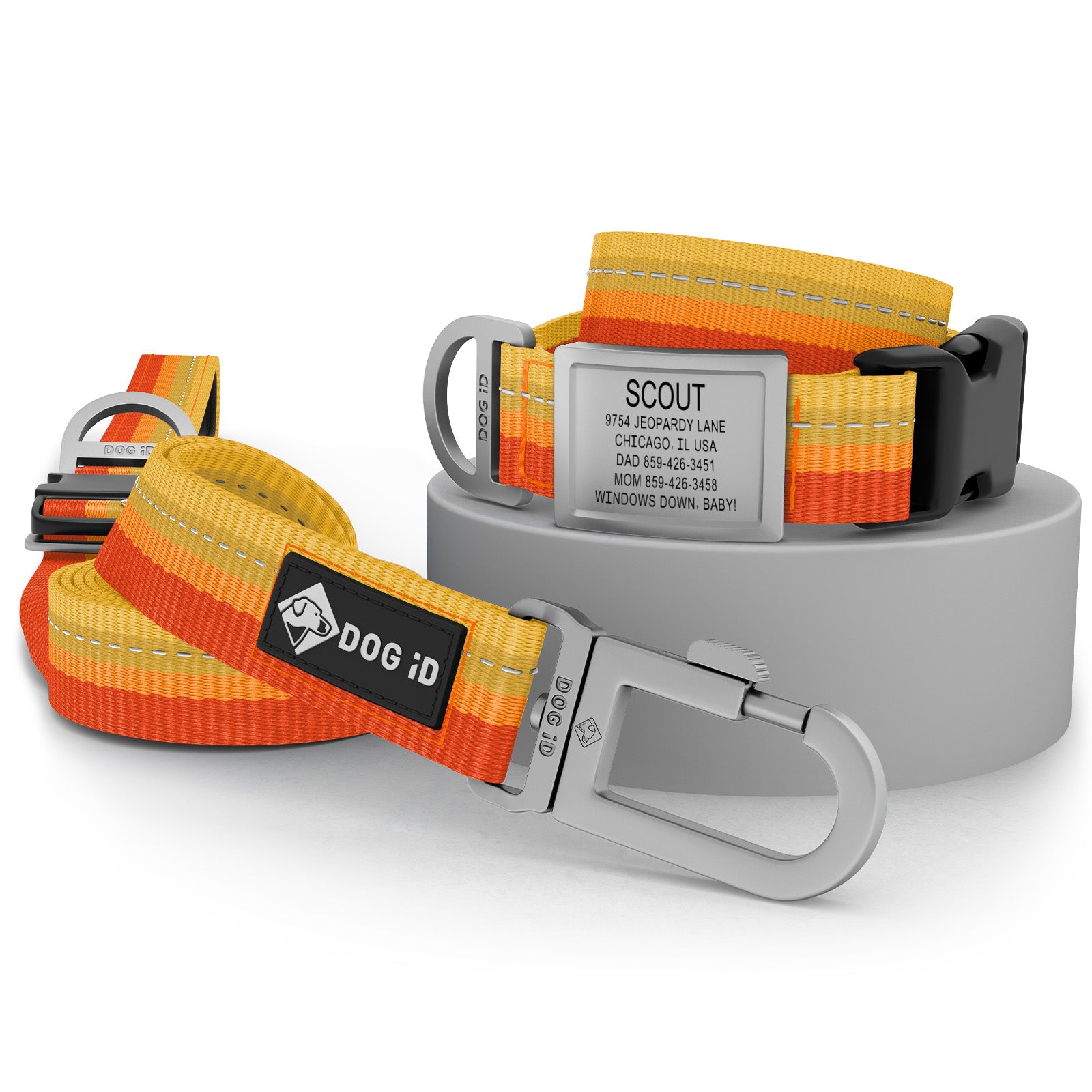 Collar + ID + Leash