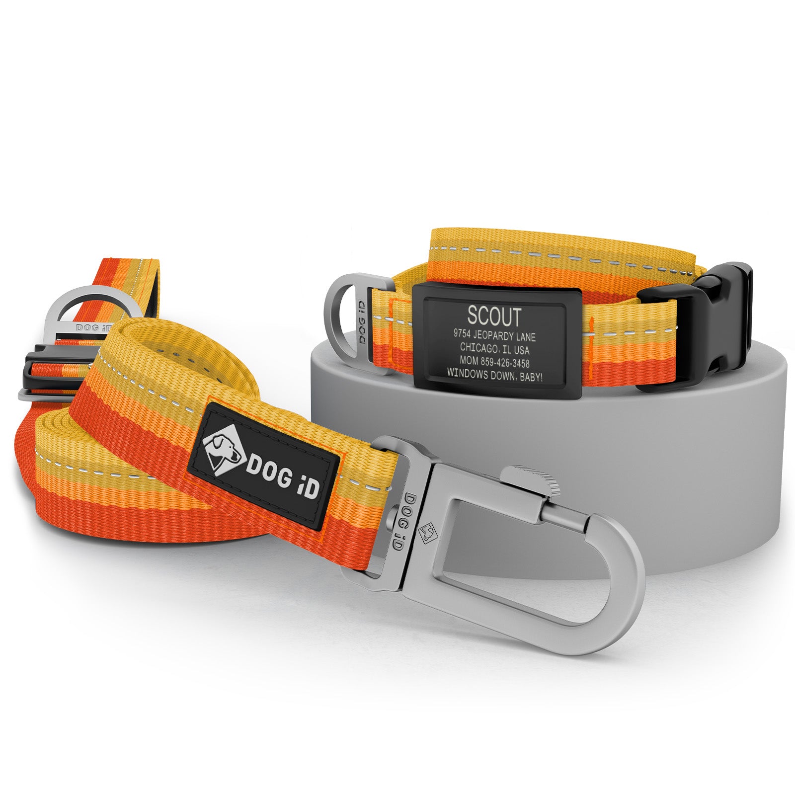 Collar + ID + Leash