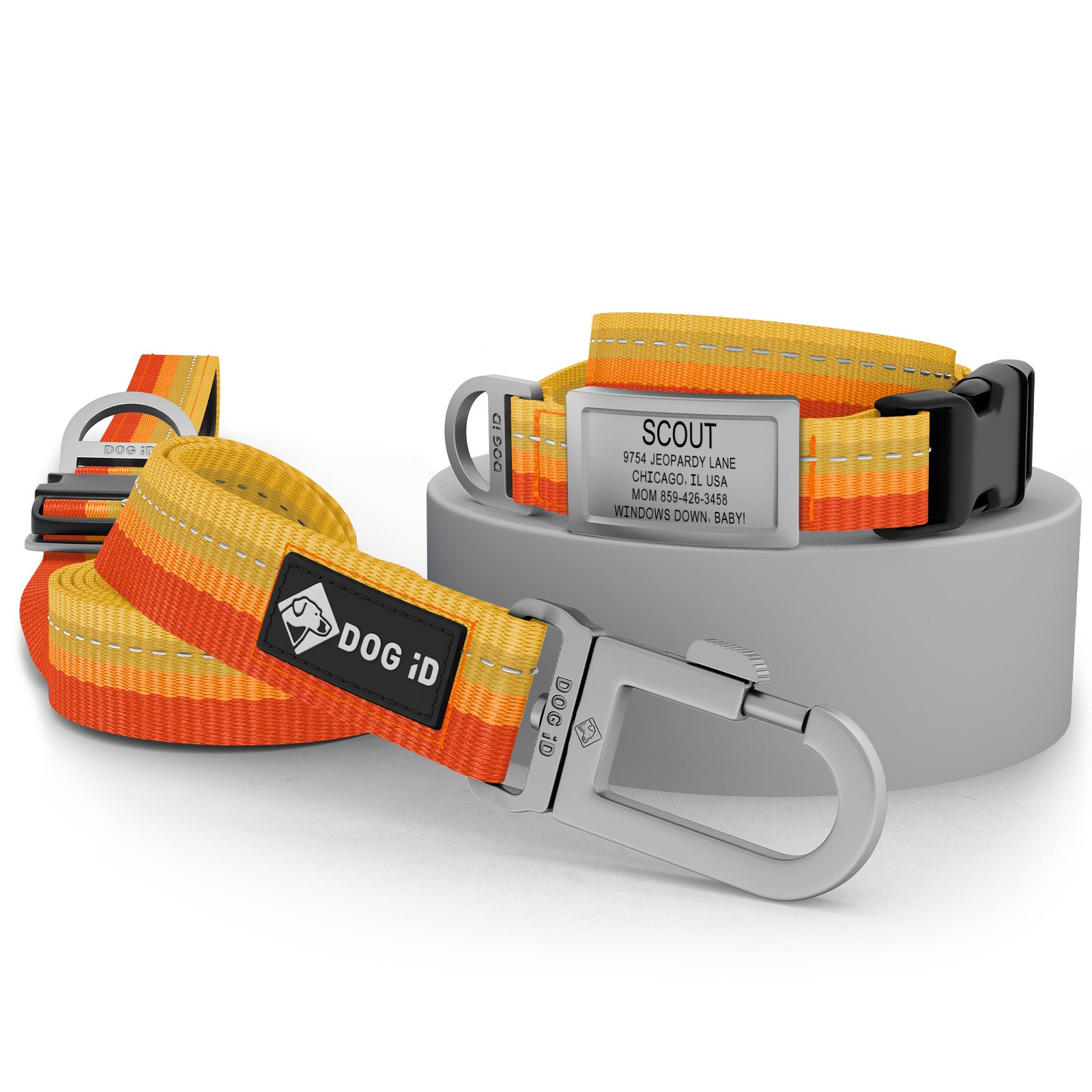 Collar + ID + Leash