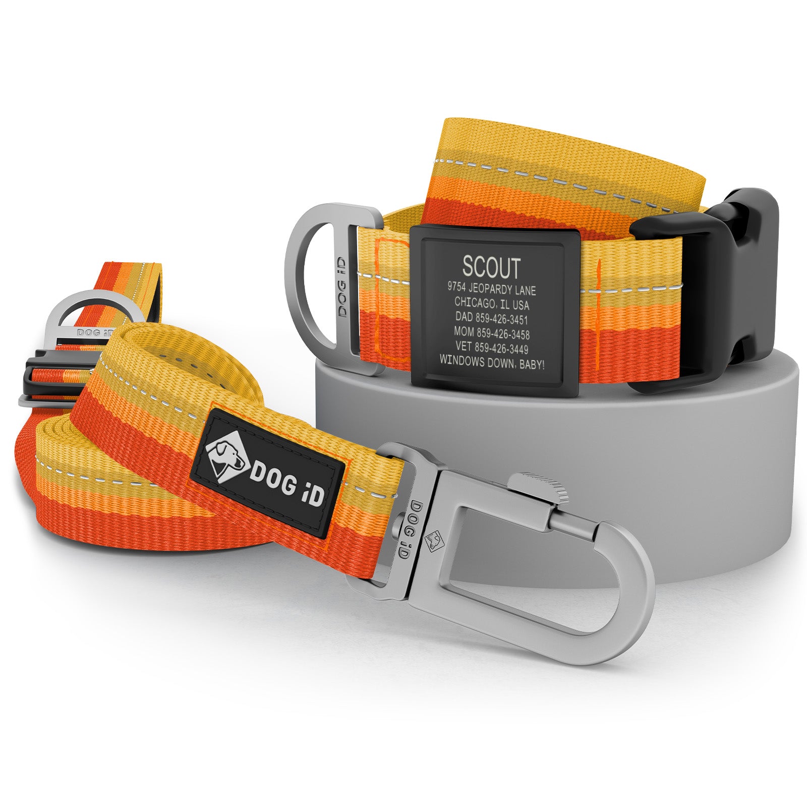 Collar + ID + Leash