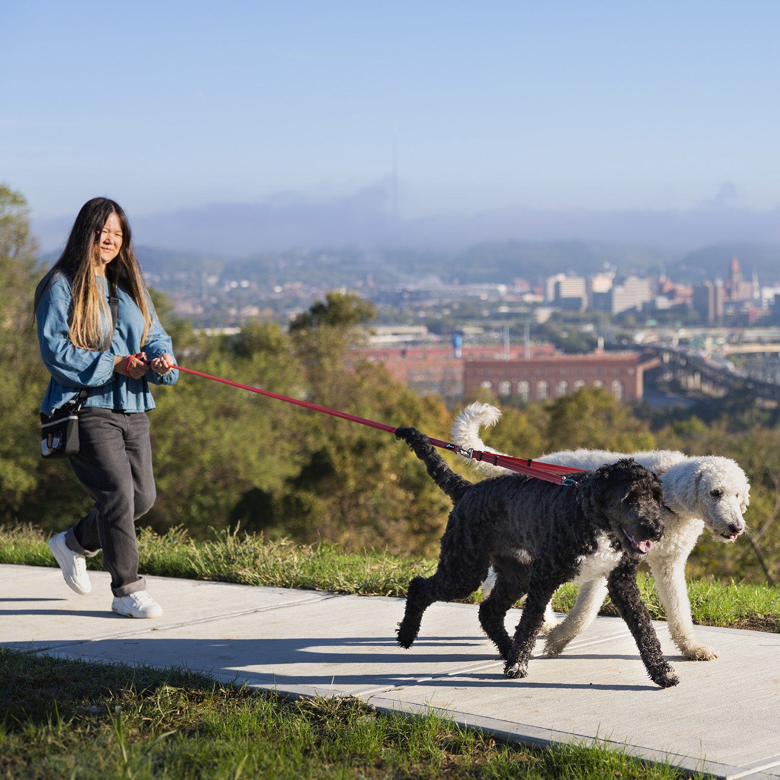 Multi-Lead Leash   