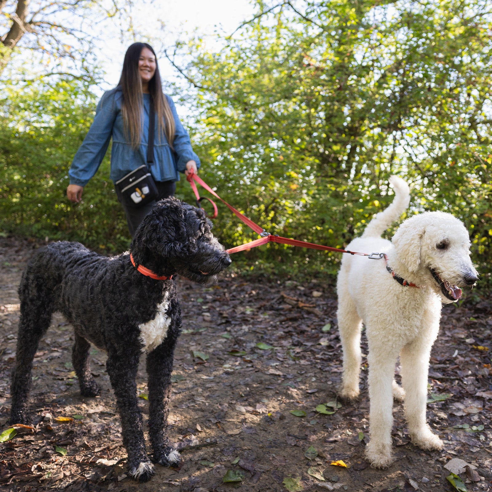 Multi-Lead Leash   