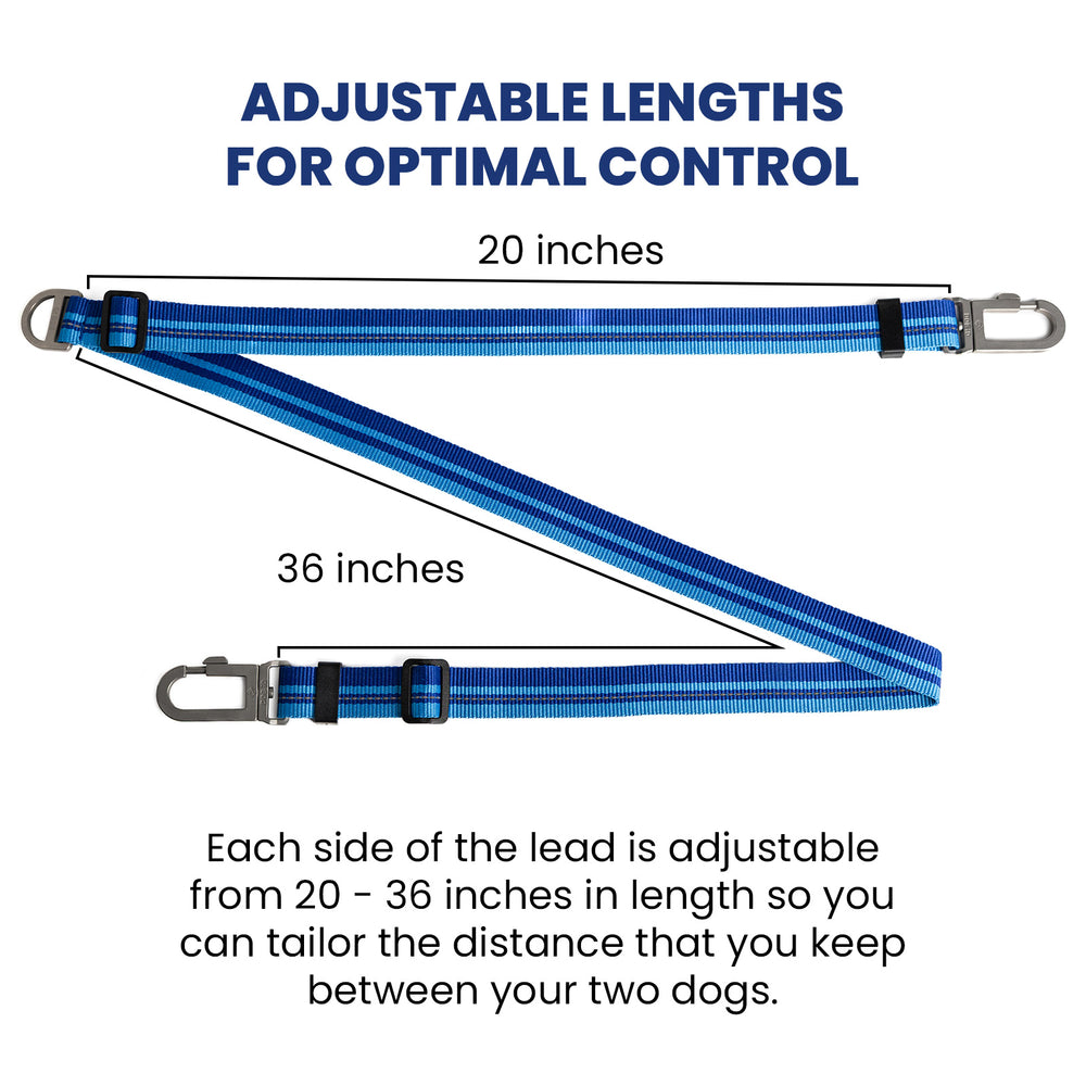 Multi-Lead