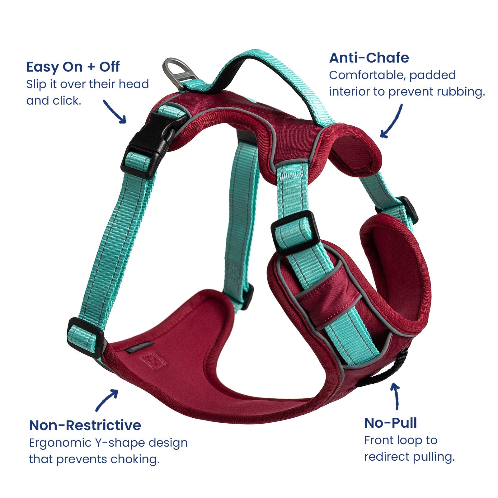 No-Pull Harness
