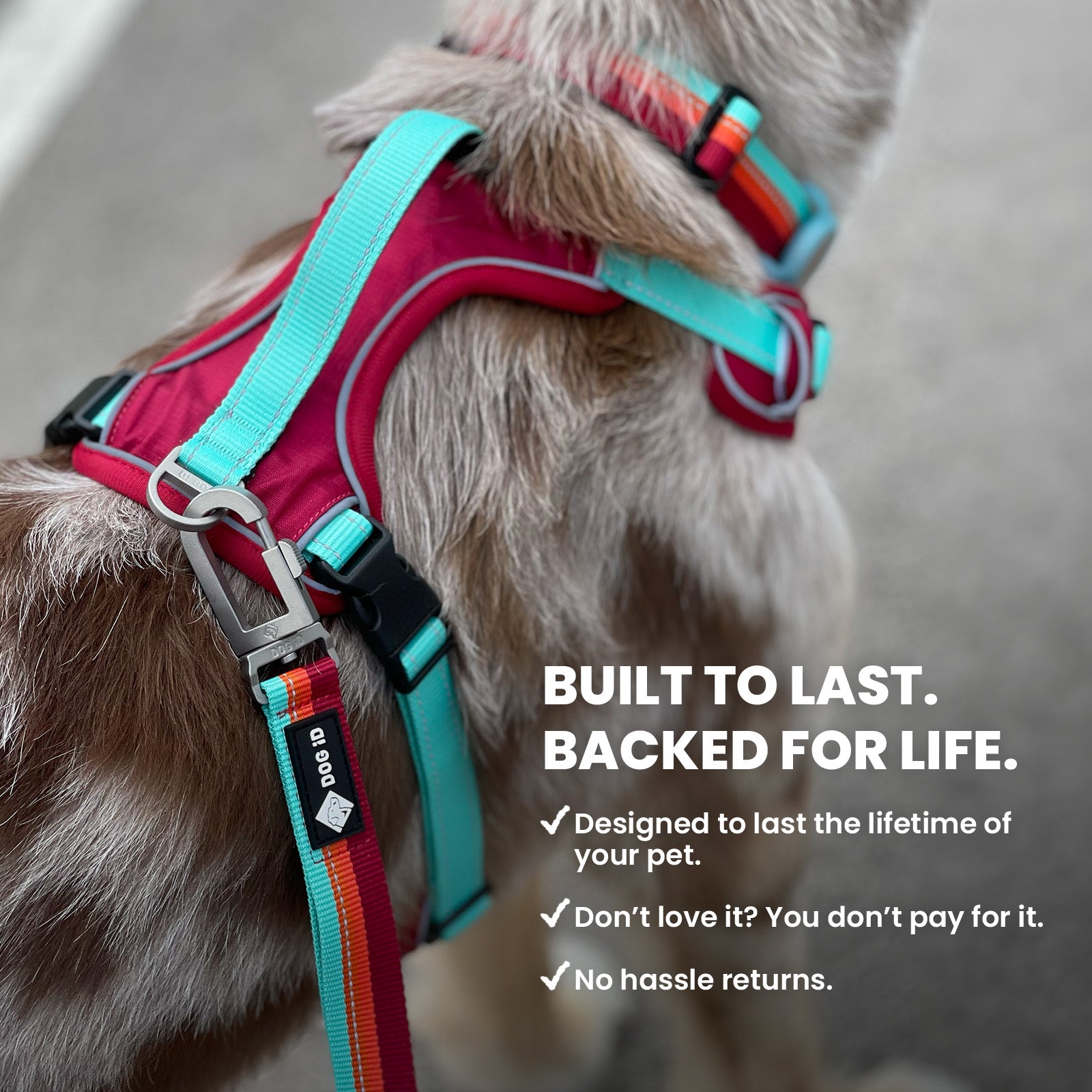 Complete No-Pull Harness Bundle