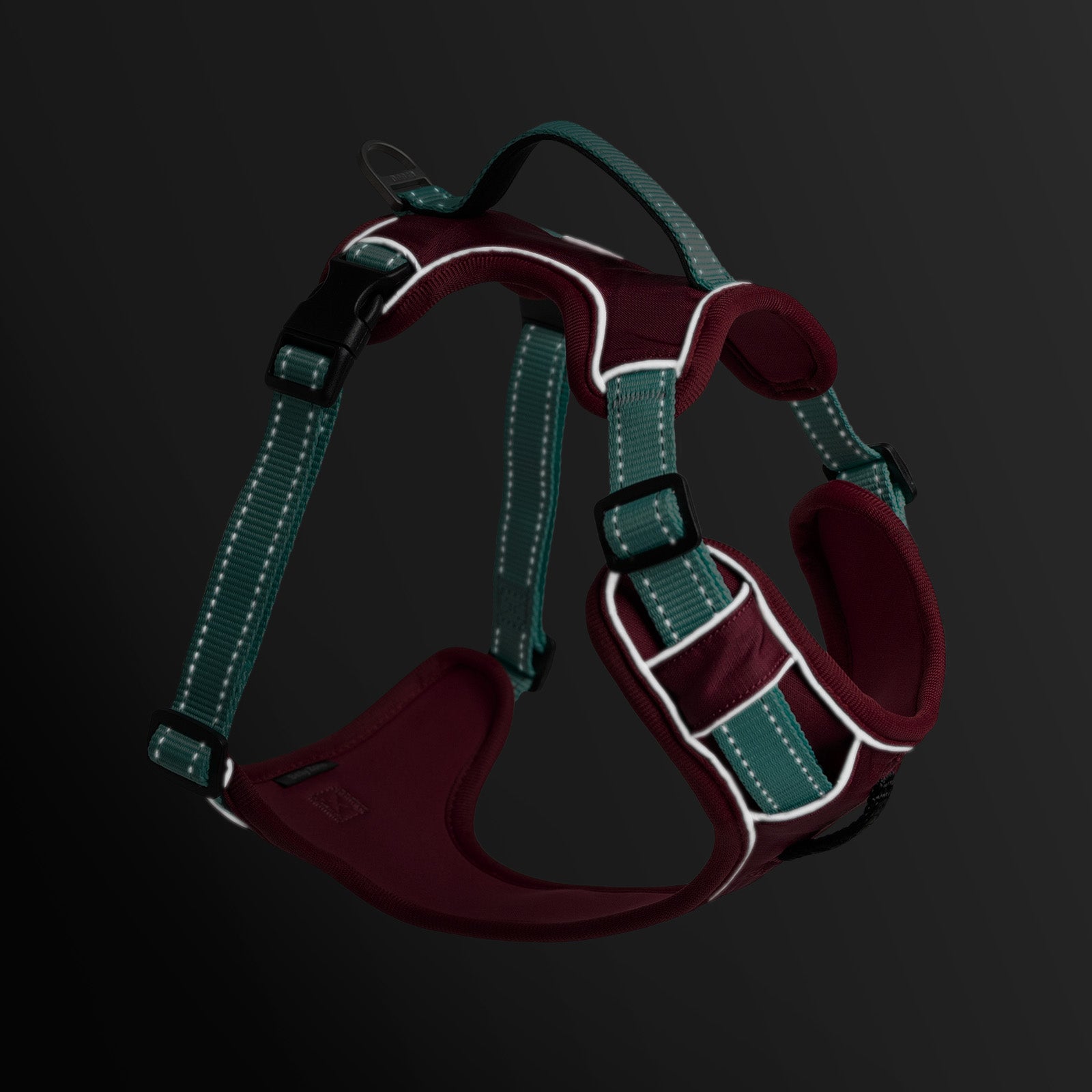 3M Reflective Stitching visible on No-Pull Harness