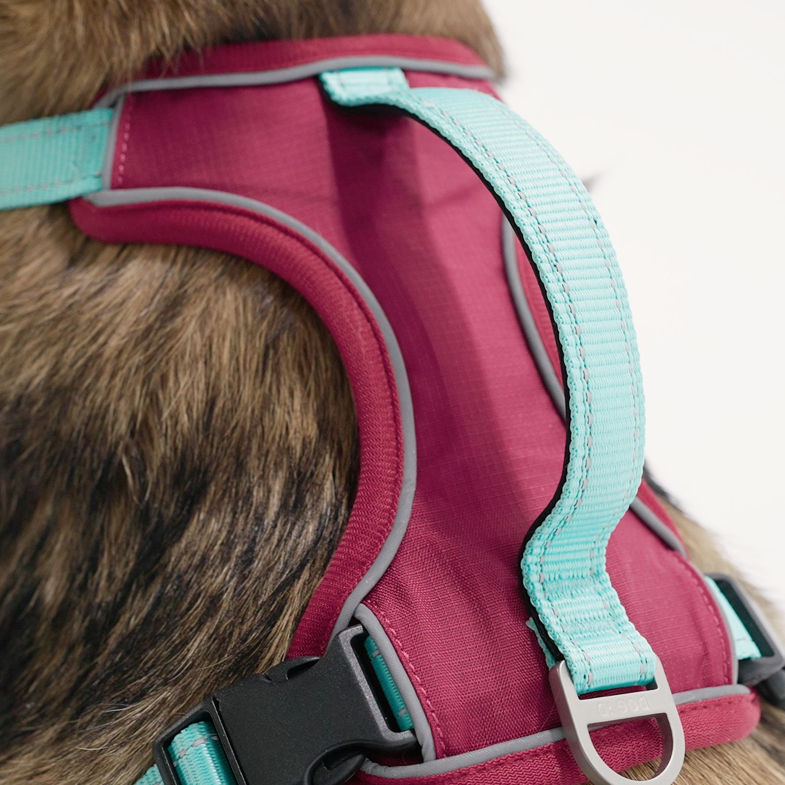 The No-Pull Harness has 4 adjustment straps = the perfect fit. Buttery neoprene padding = the perfect feel. Not too tight. Not too loose. Just right.