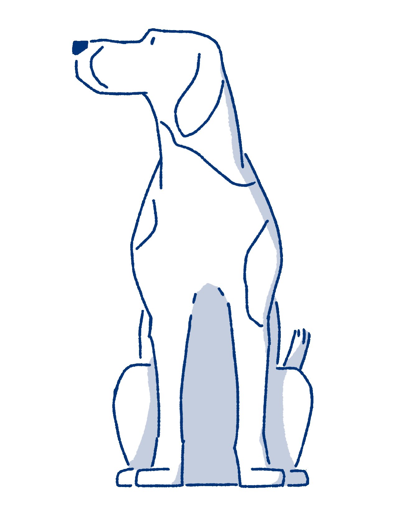 Pointer dog sniffing | DOG iD | Drawn by Marty Englert