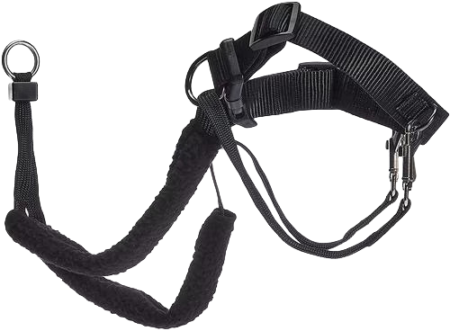 Poor quality competitor dog harness with leash on a white background. Squeezes or pinches to punish pulling. Pain and anxiety-inducing.