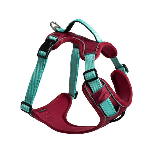 No-Pull Harness