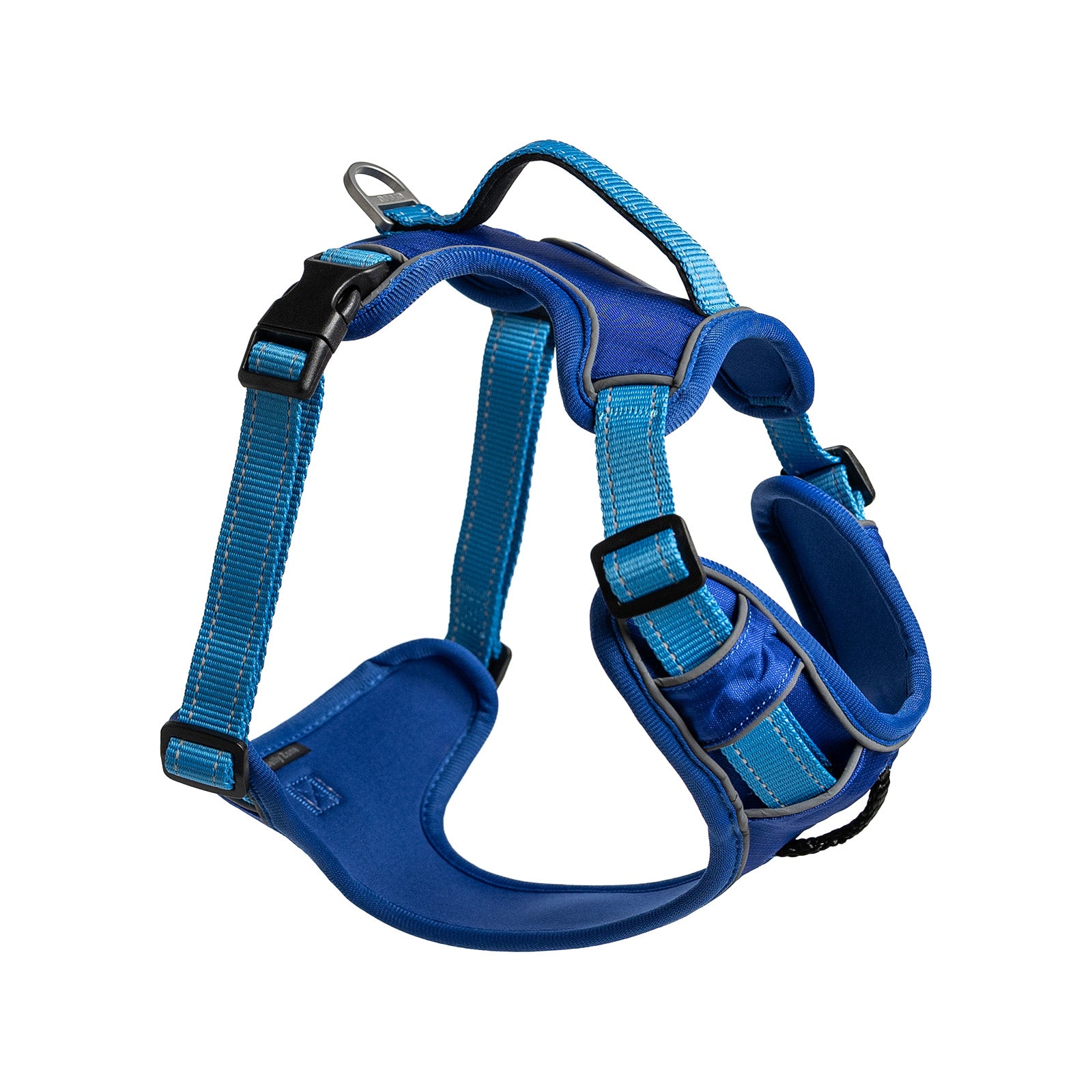 Forever Harness Small Blue.