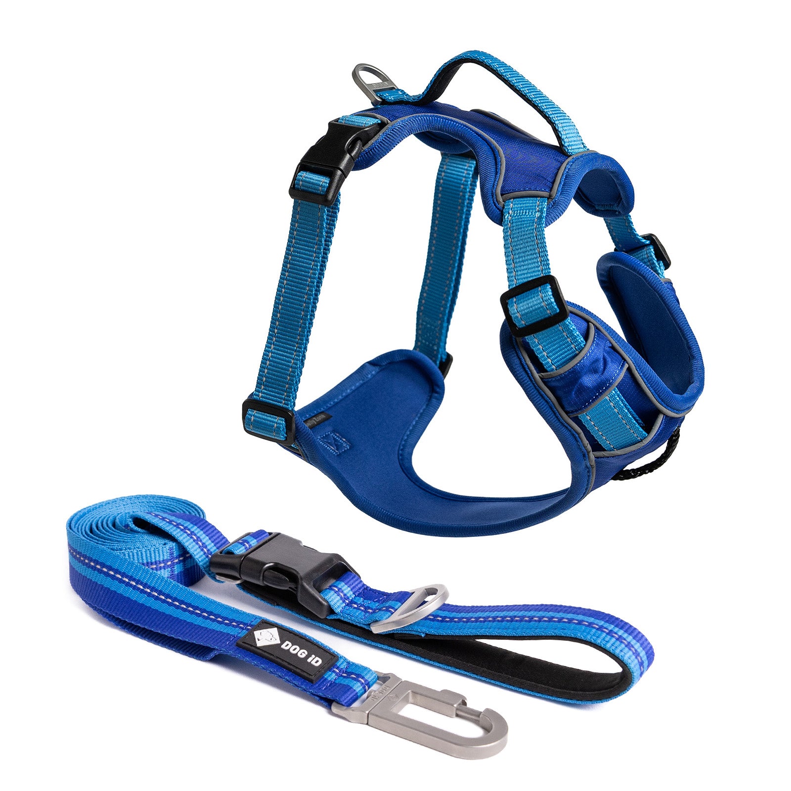 Harness + Leash Small Blue.