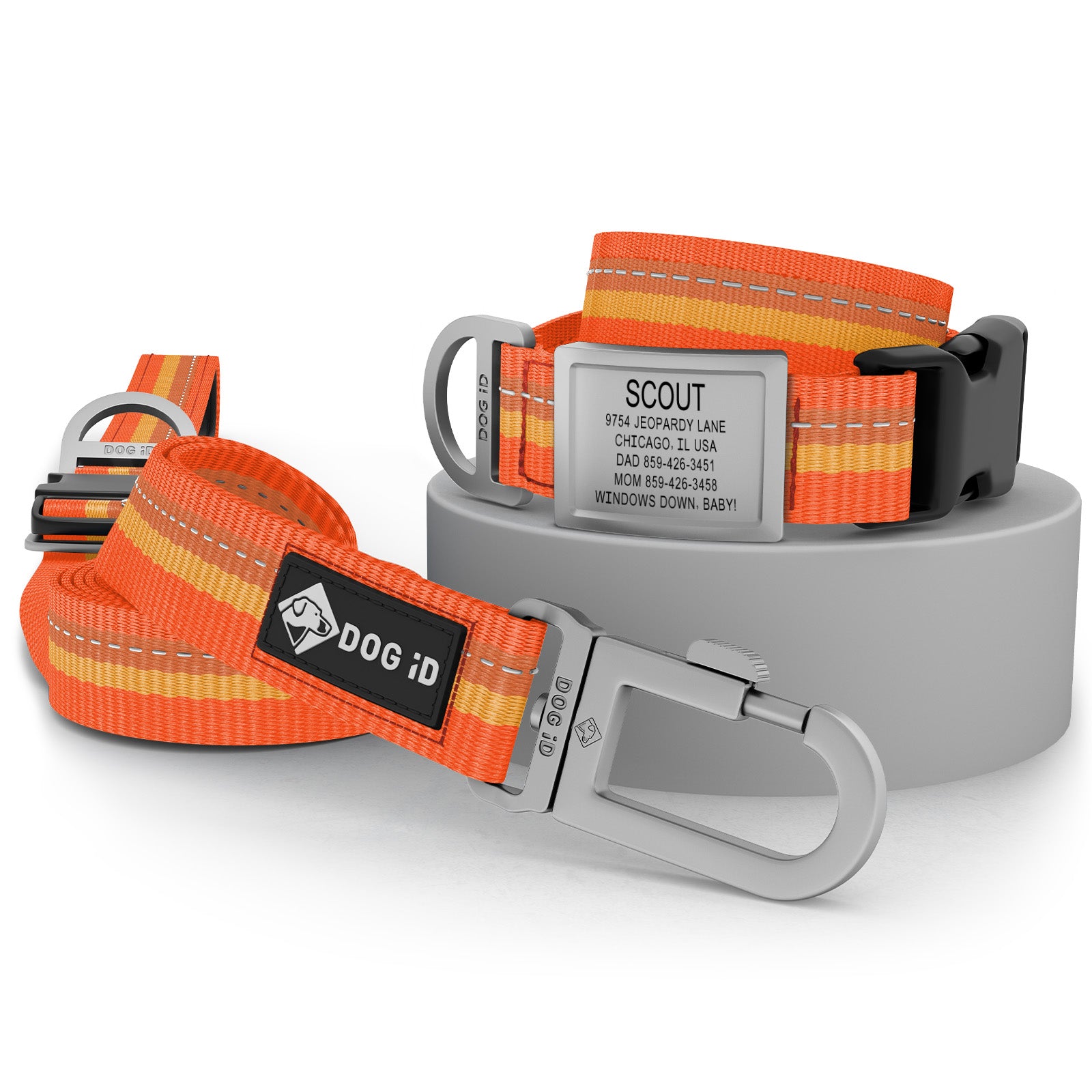 Collar + ID + Leash
