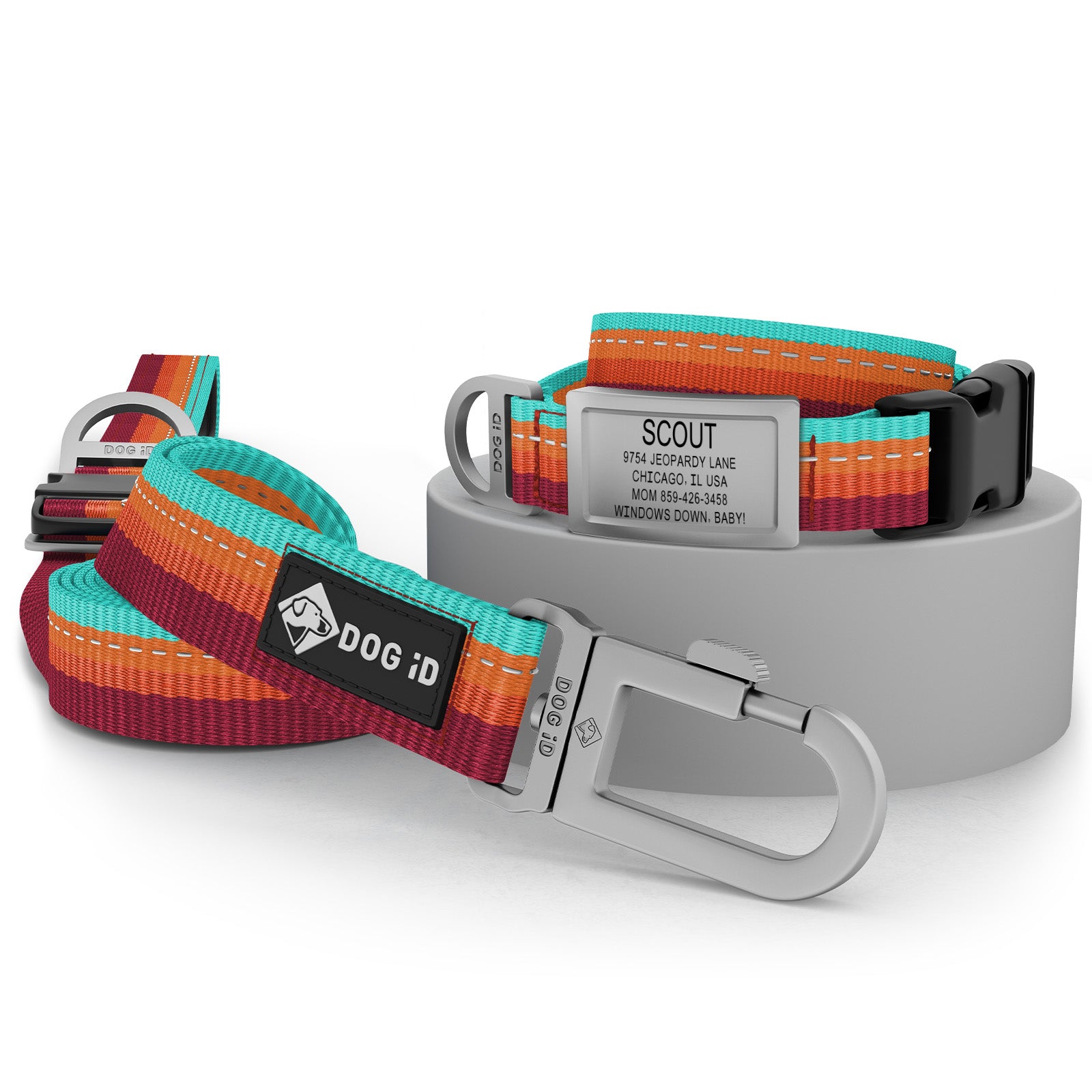Collar + ID + Leash