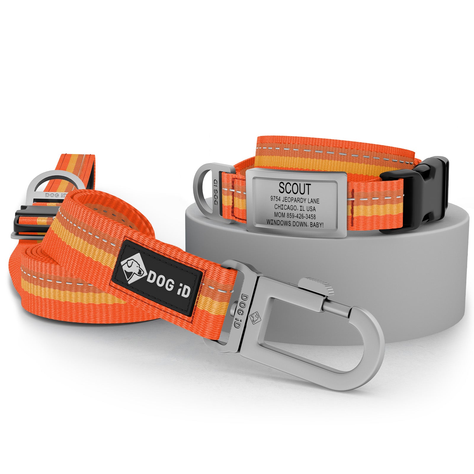 Collar + ID + Leash