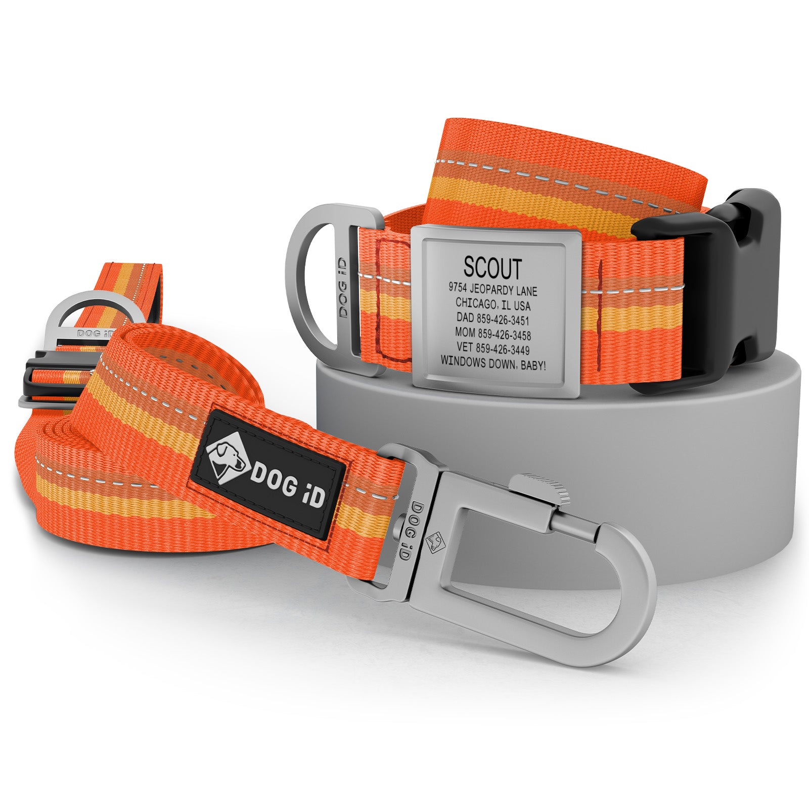 Collar + ID + Leash