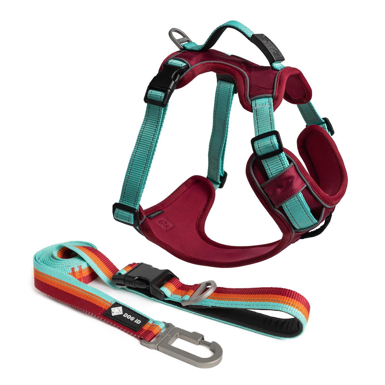 Harness + ID + Leash ID Small Graphite Autumn Campfire.