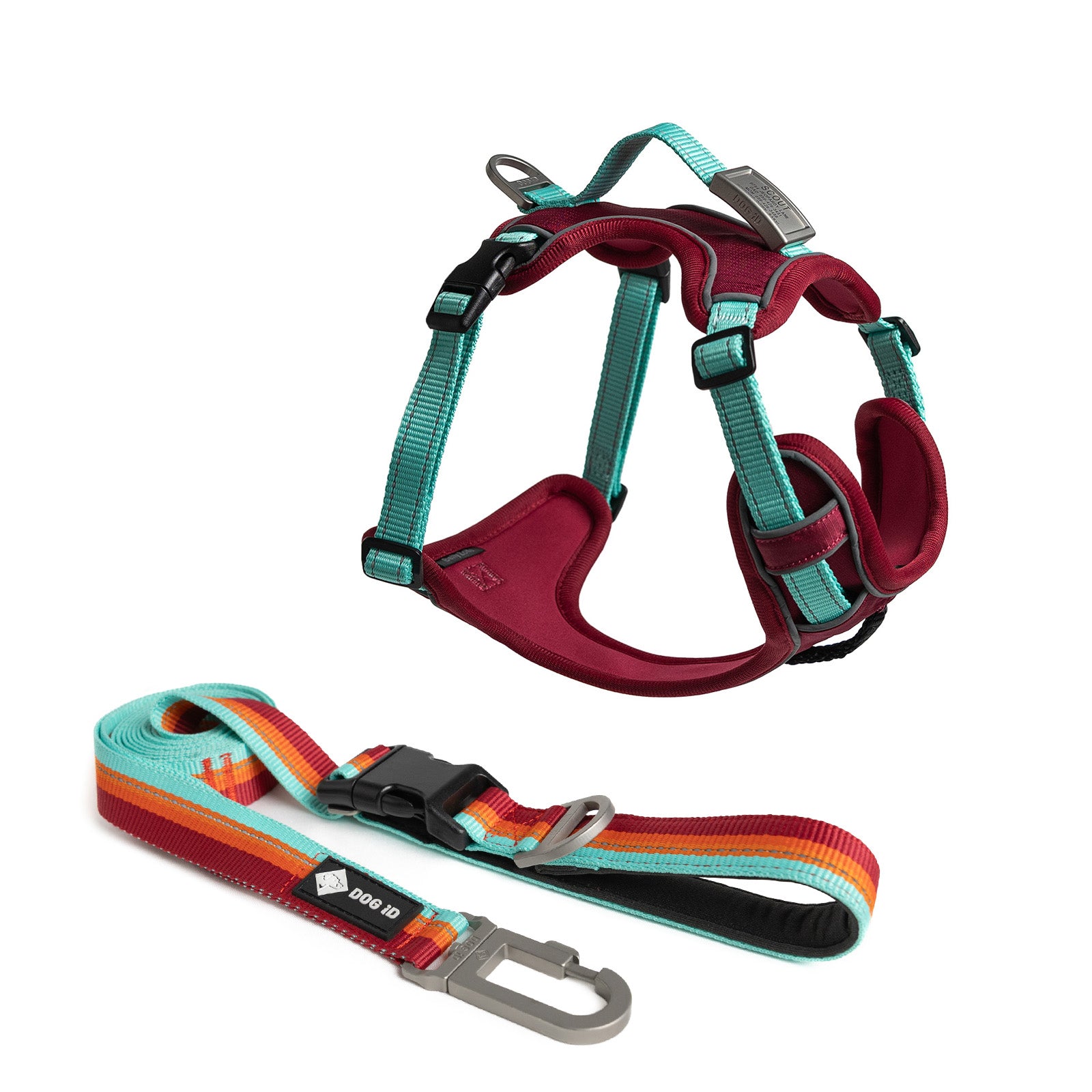 Harness + ID + Leash ID X-Small Slate Autumn Campfire.