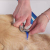 Forever Leash Leash